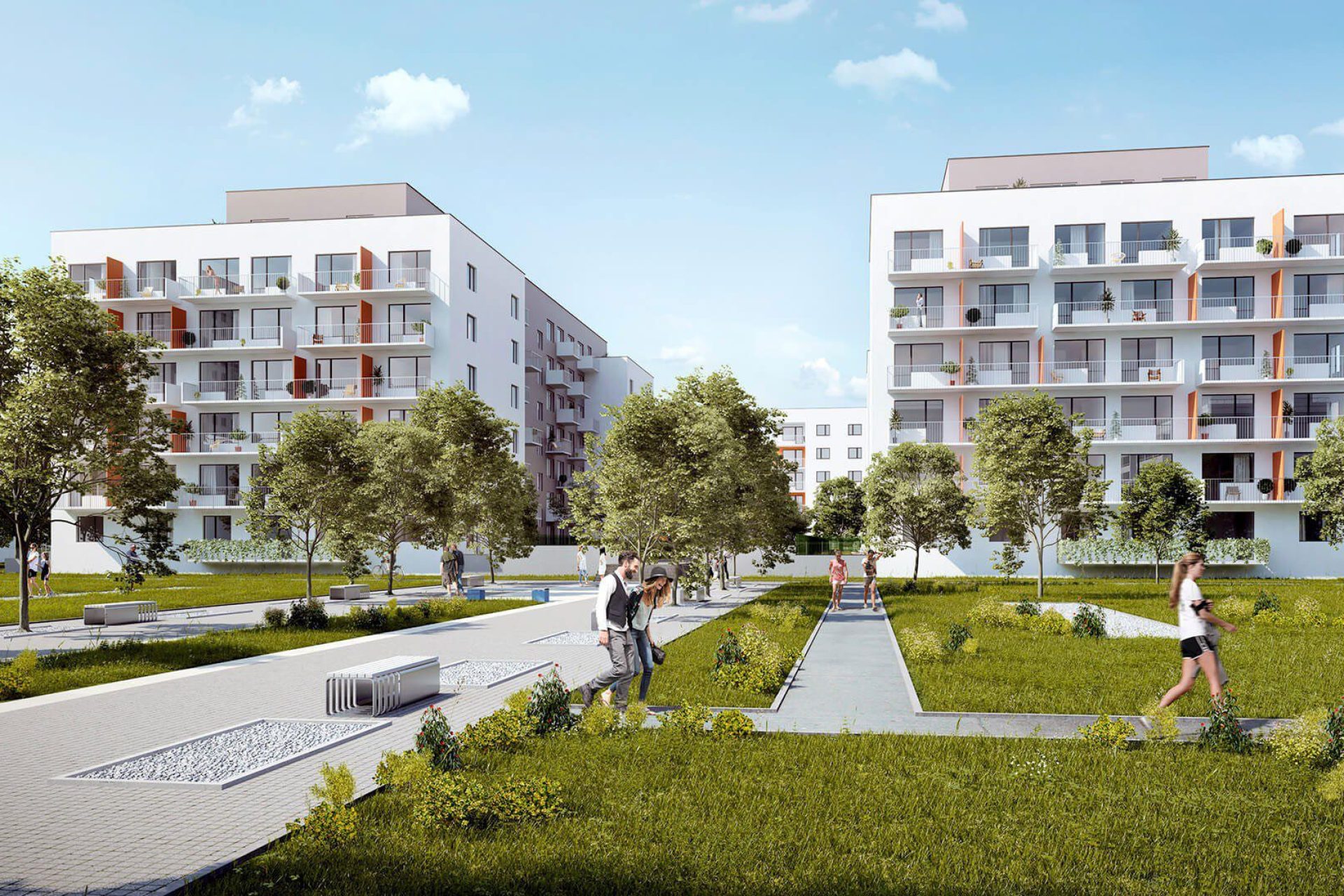 Tulipa City II